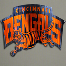 Cincinnati Bengals (2 Piece) Metal Wall Art - Michigan Metal Artwork