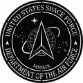 United States Space Force Metal Wall Art Logo - Michigan Metal Artwork