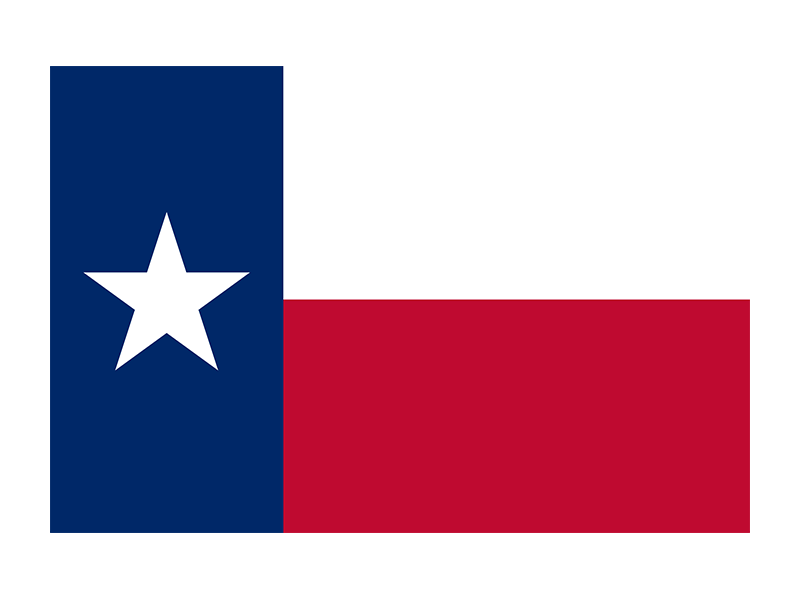 Texas State Flag Metal Wall Art