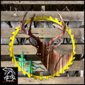 Deer Saw Blade Metal Wall Art Airbrushed Various Hunting